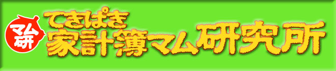 てきぱき家計簿マム研究所